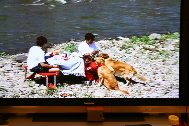 ファイル 436-5.jpg