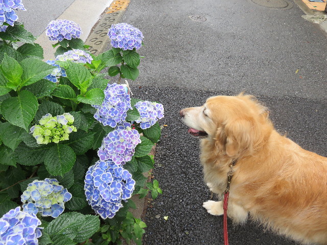 ファイル 4360-5.jpg