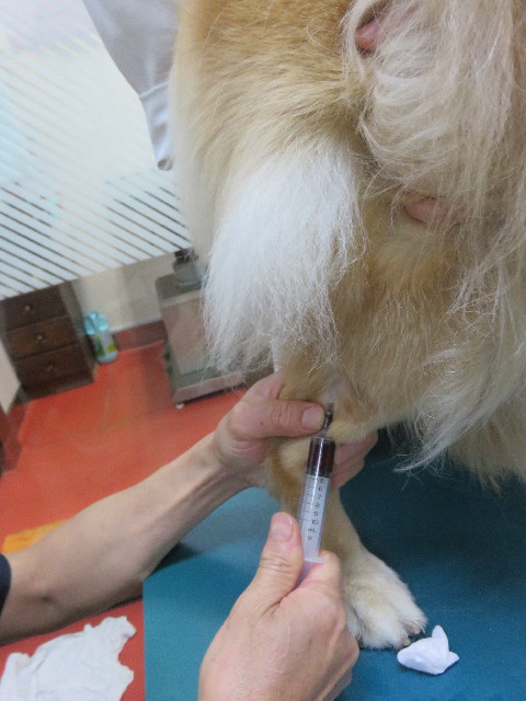 ファイル 4362-2.jpg