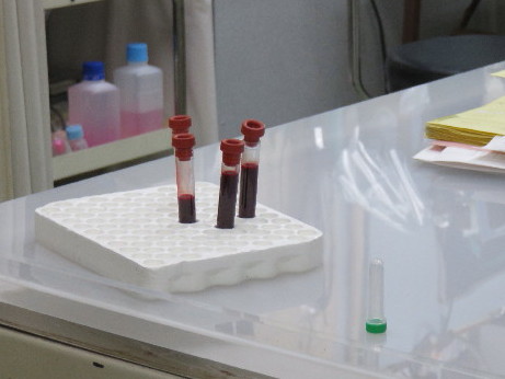 ファイル 4362-3.jpg