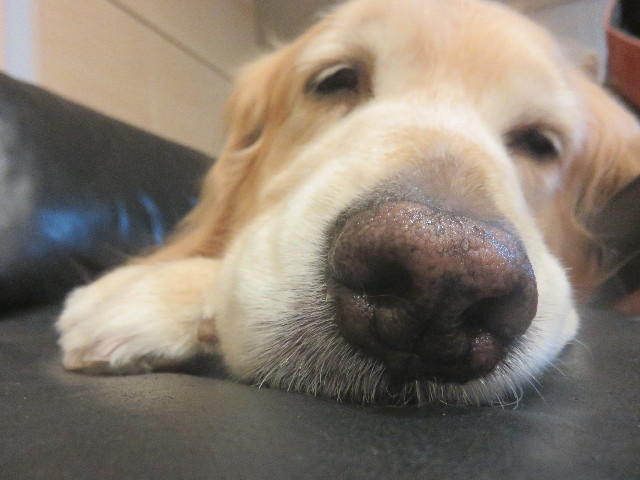 ファイル 4365-4.jpg