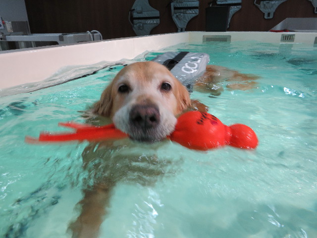 ファイル 4367-2.jpg