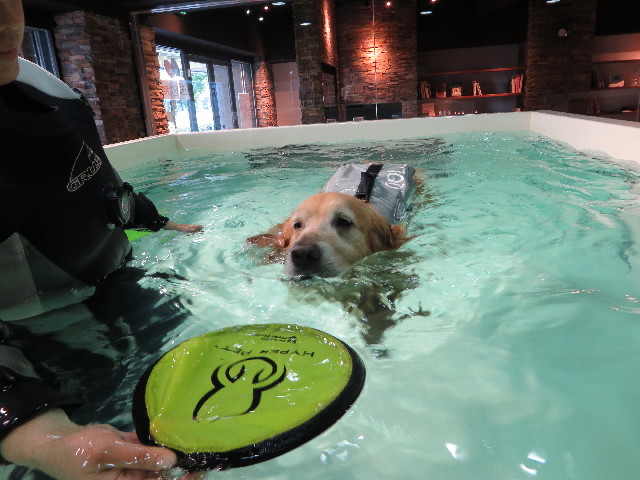 ファイル 4367-4.jpg