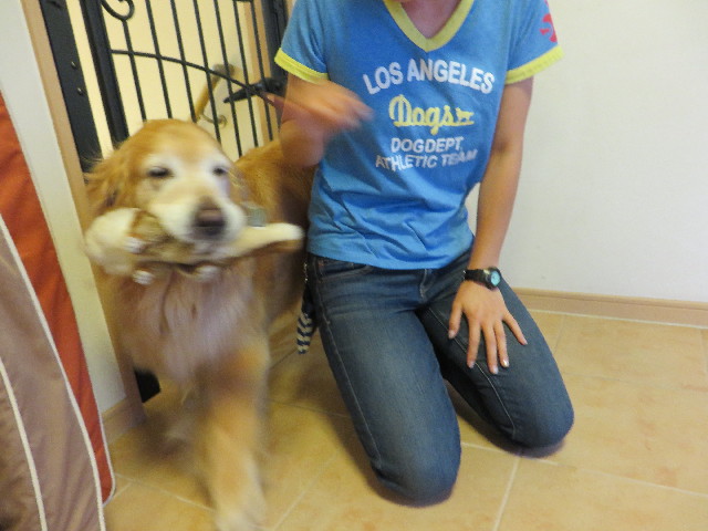 ファイル 4367-5.jpg