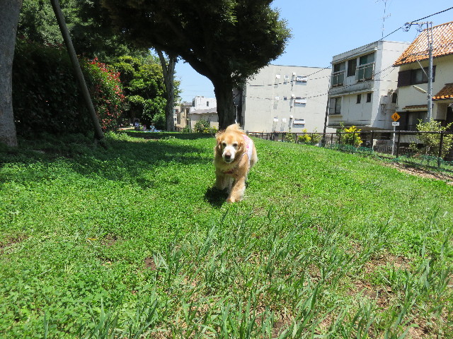 ファイル 4369-1.jpg