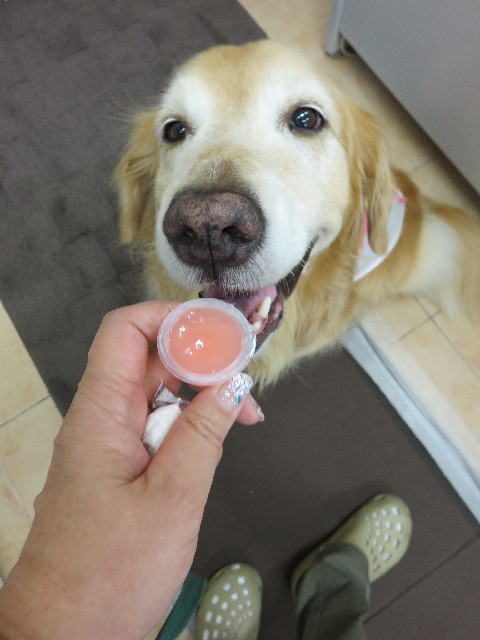 ファイル 4369-3.jpg