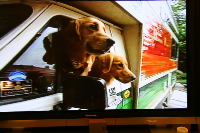 ファイル 437-5.jpg