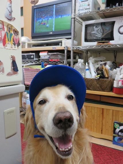 ファイル 4370-3.jpg