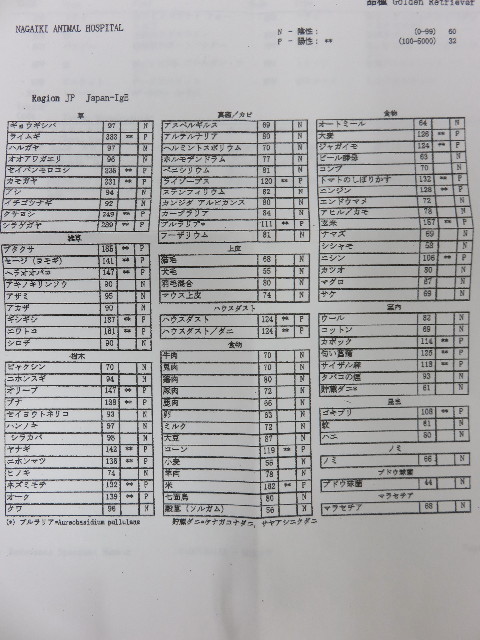 ファイル 4373-1.jpg