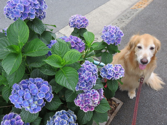 ファイル 4374-5.jpg