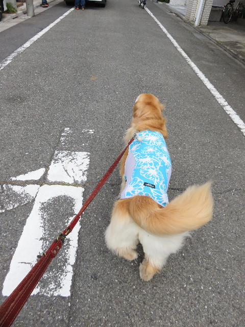 ファイル 4377-4.jpg