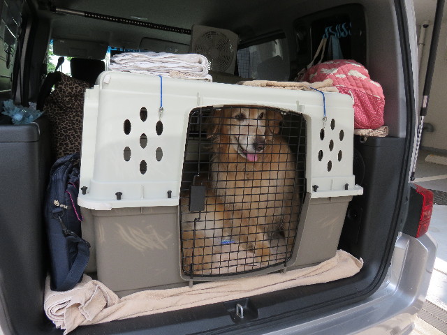 ファイル 4377-5.jpg