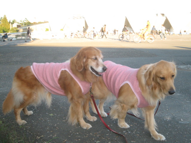 ファイル 438-2.jpg