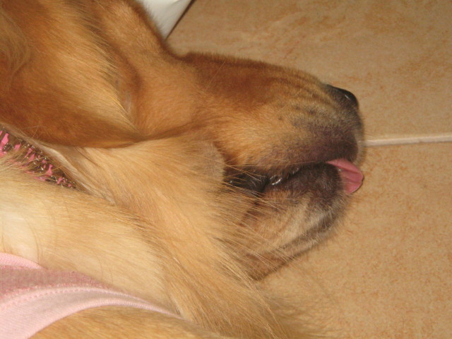 ファイル 438-5.jpg