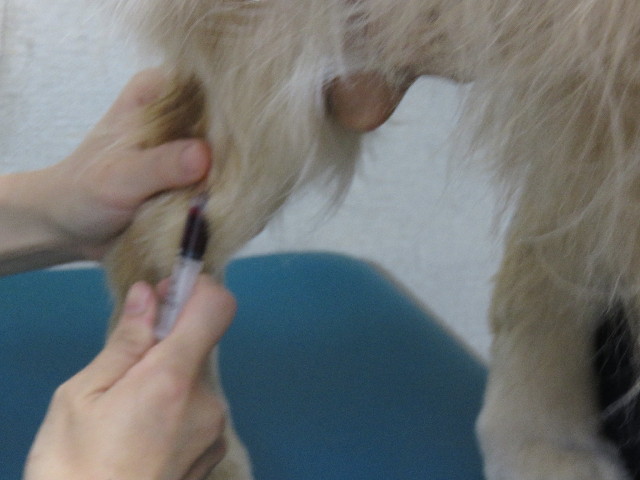 ファイル 4384-4.jpg