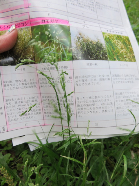 ファイル 4387-2.jpg