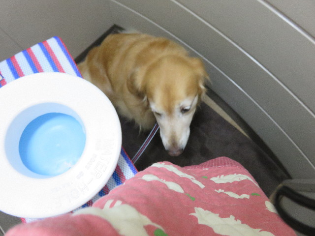 ファイル 4389-3.jpg