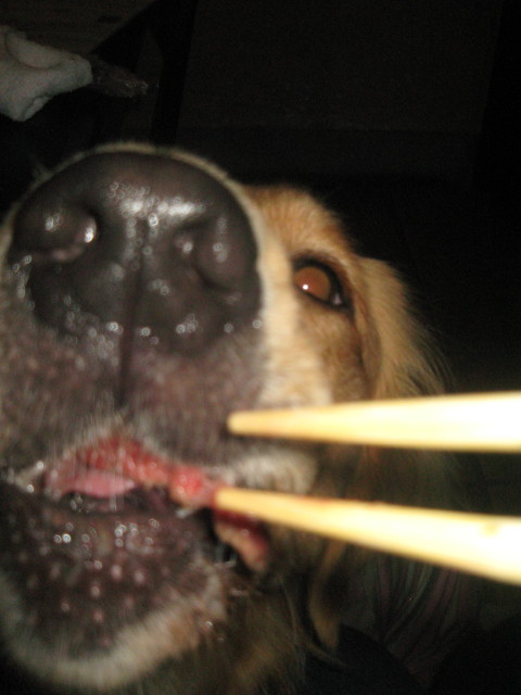 ファイル 439-4.jpg