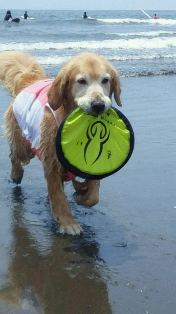 ファイル 4390-2.jpg