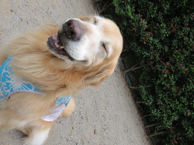 ファイル 4391-4.jpg