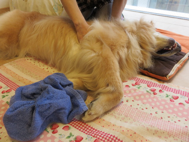 ファイル 4392-3.jpg