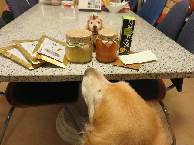 ファイル 4393-1.jpg