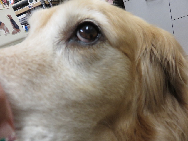 ファイル 4394-2.jpg