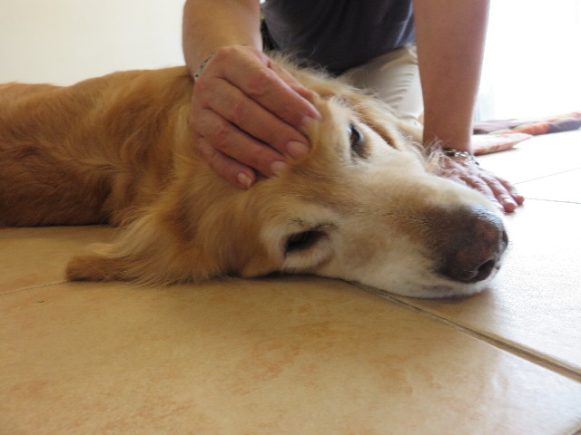 ファイル 4394-4.jpg