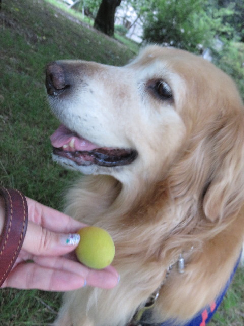 ファイル 4395-3.jpg