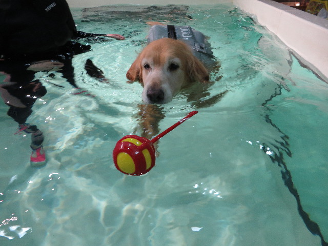 ファイル 4396-2.jpg