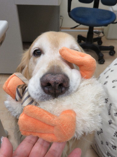 ファイル 4397-1.jpg