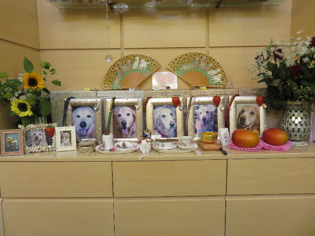 ファイル 4397-3.jpg