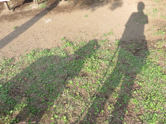 ファイル 4398-1.jpg