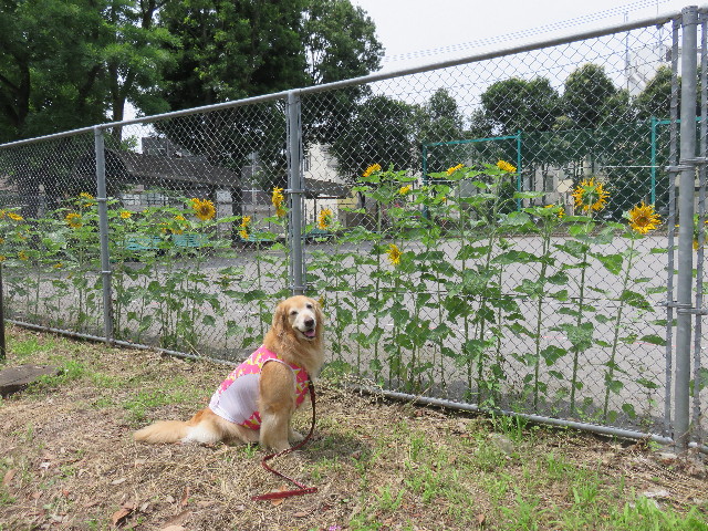 ファイル 4399-1.jpg