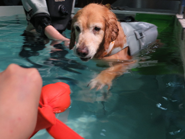 ファイル 4399-3.jpg