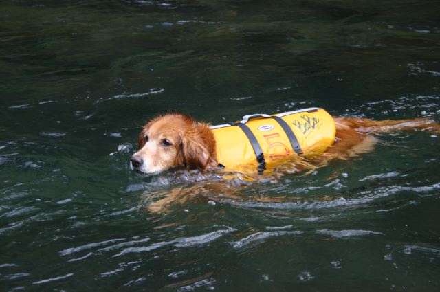 ファイル 44-2.jpg