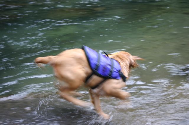 ファイル 44-4.jpg