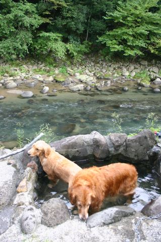 ファイル 44-5.jpg