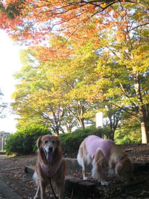 ファイル 440-1.jpg