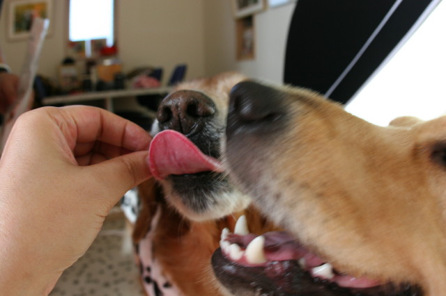 ファイル 440-4.jpg