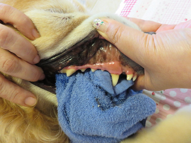 ファイル 4400-1.jpg