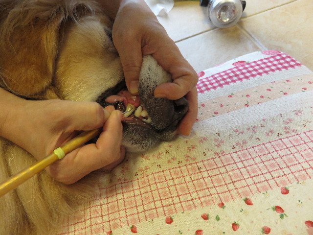 ファイル 4400-2.jpg