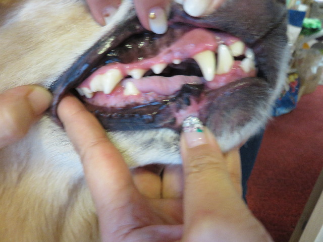 ファイル 4400-3.jpg