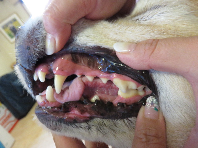 ファイル 4400-4.jpg