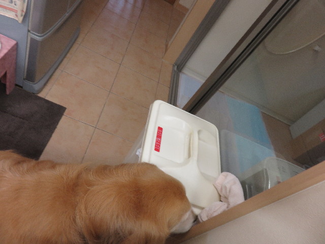 ファイル 4402-3.jpg