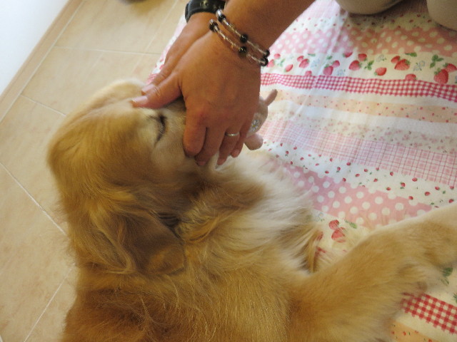 ファイル 4404-4.jpg