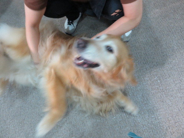 ファイル 4406-2.jpg