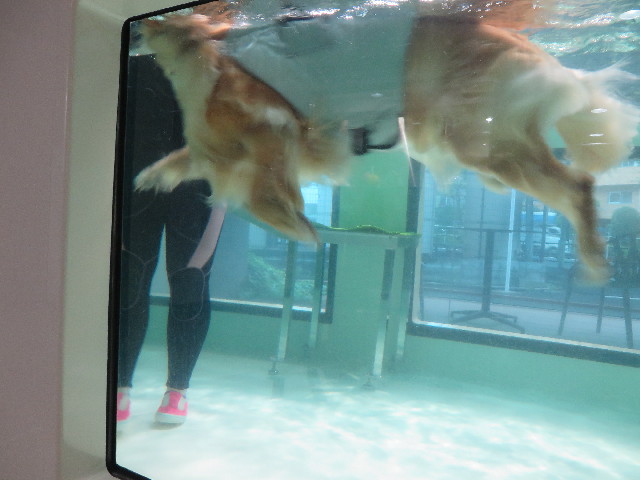 ファイル 4406-4.jpg