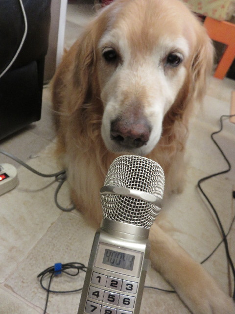 ファイル 4407-3.jpg