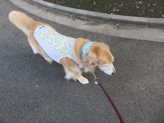 ファイル 4407-4.jpg